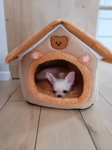 Dog House