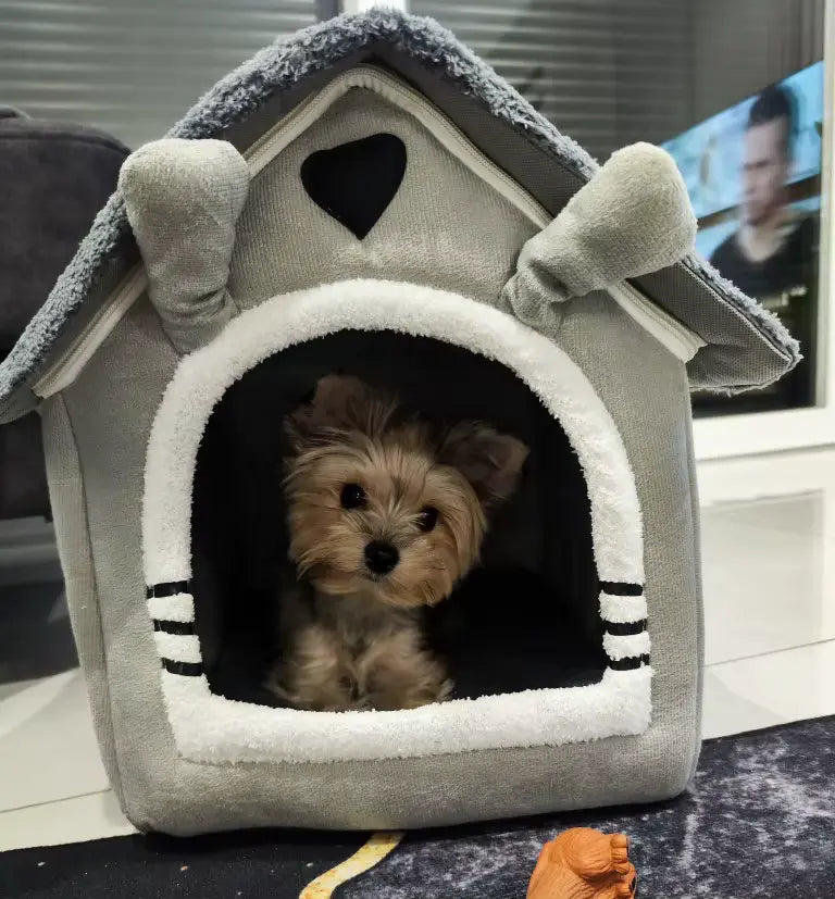 Dog House