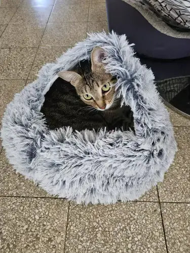 Soft Plush Cat Bed with Cover