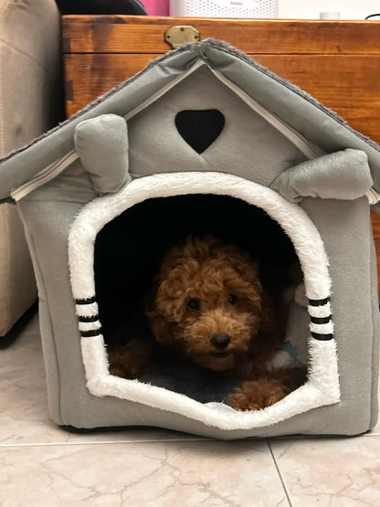 Dog House