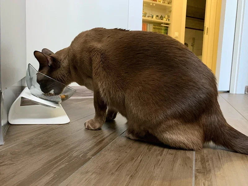 Single / Double Cat Shaped Bowl with a Stand