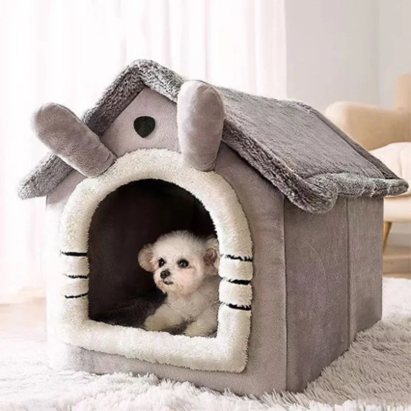 Dog House