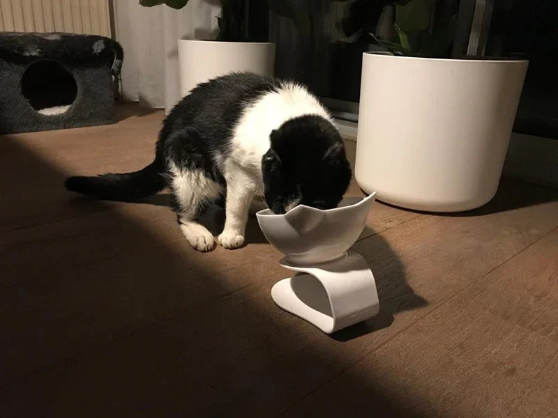 Single / Double Cat Shaped Bowl with a Stand